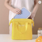 O saco Bento Box Carry Bag With térmico do refrigerador da isolação da cor dos doces personalizou a impressão